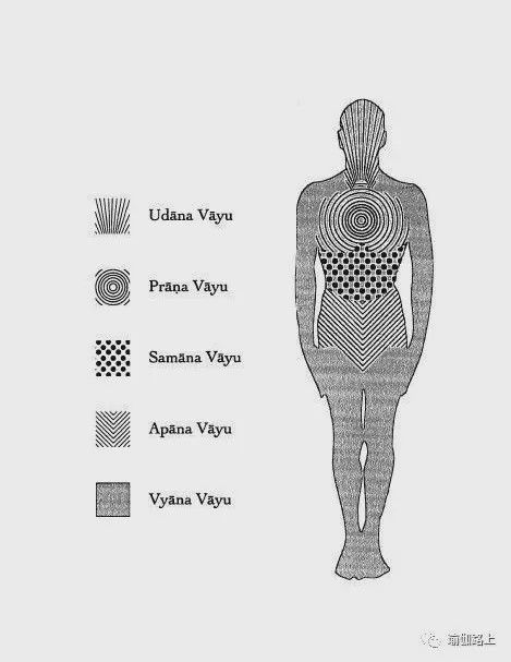 瑜伽说的五行气是什么？(图4)