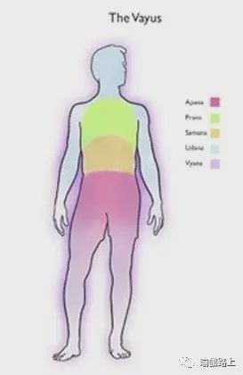 瑜伽说的五行气是什么？(图2)