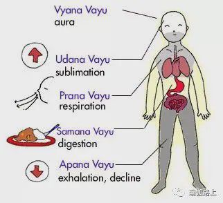 瑜伽说的五行气是什么？(图6)