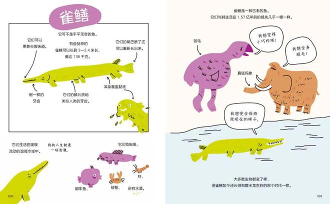 半岛体育舒适内衣、椰乳、羊绒、钢笔、瑜伽垫、石榴、阅读软件、纪录片和89分书读者(图22)